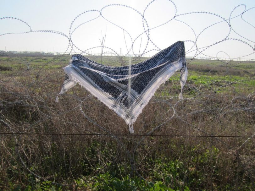 425980_10151217459251836_83303105_n